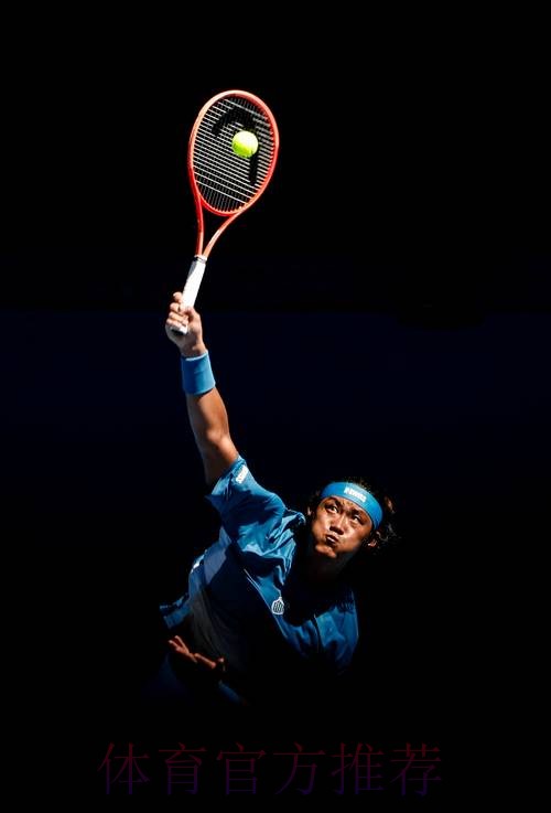 张之臻止步澳网首轮 张之臻止步澳网首轮